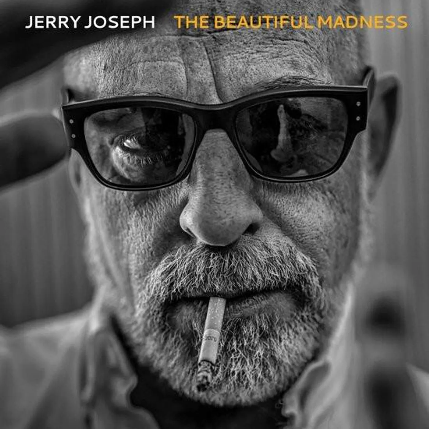 Jerry Joseph BEAUTIFUL MADNESS Vinyl Record
