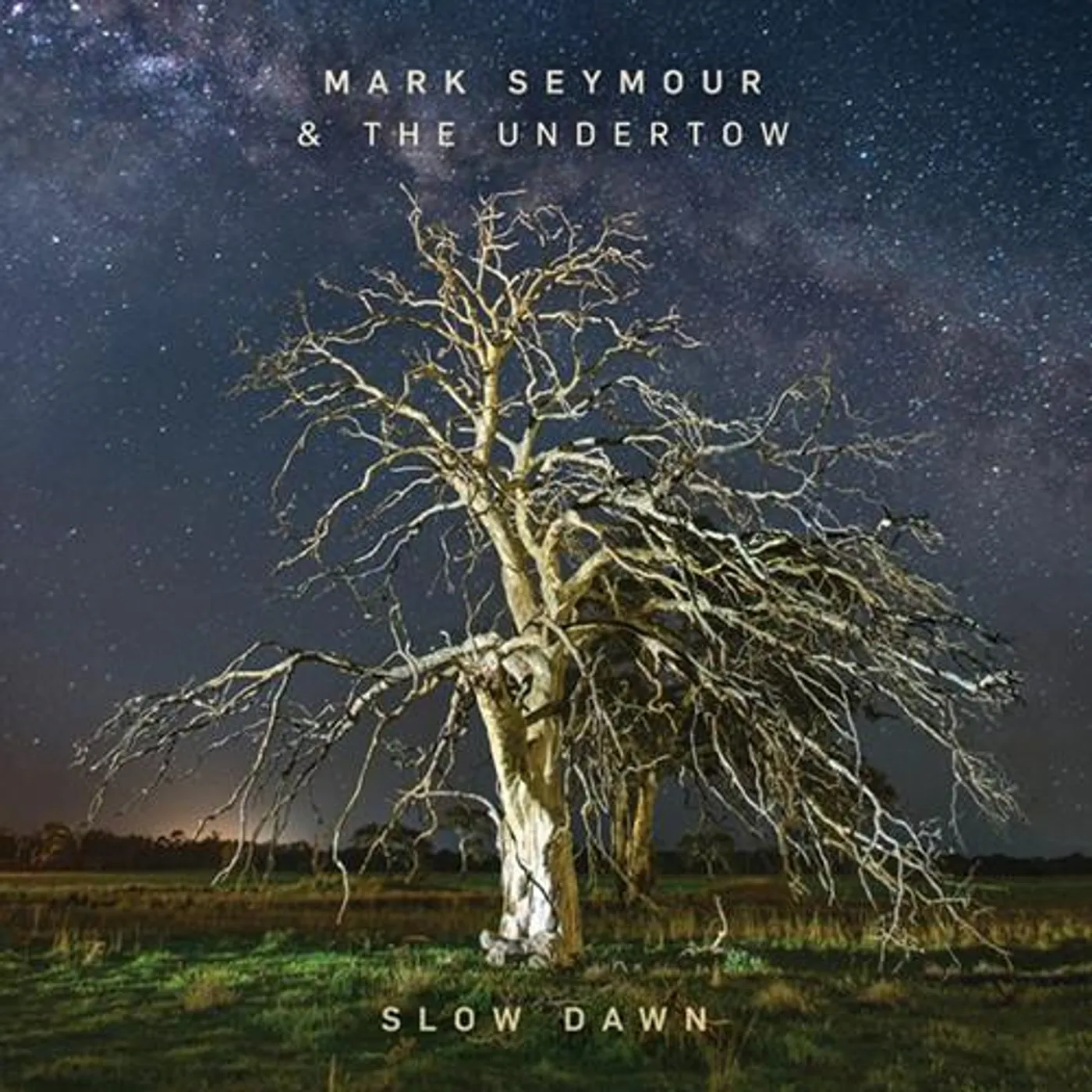 Mark Seymour & The Undertow SLOW DAWN CD