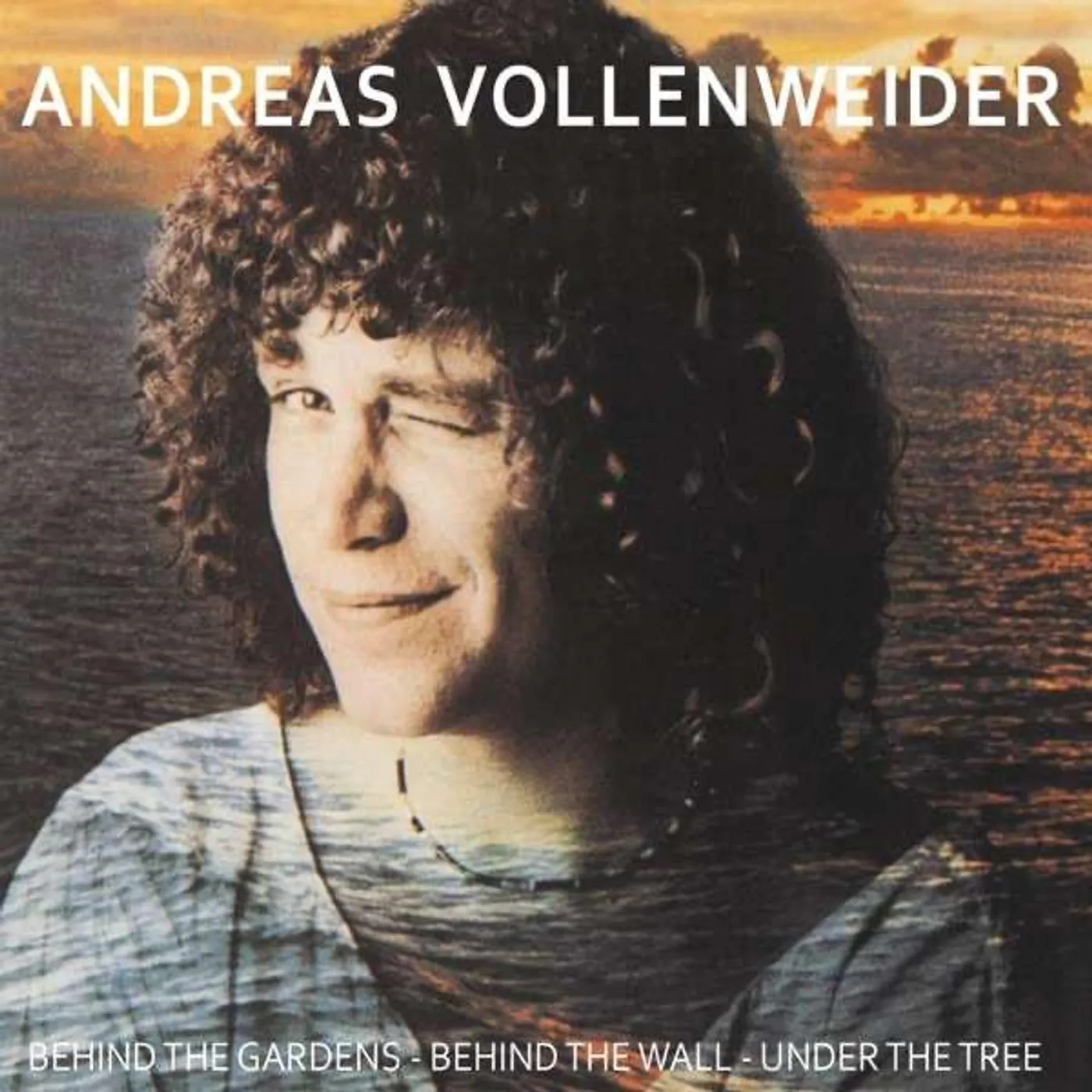 Andreas Vollenweider BEHIND THE GARDENS BEHIND THE WALL UNDER THE TREE CD