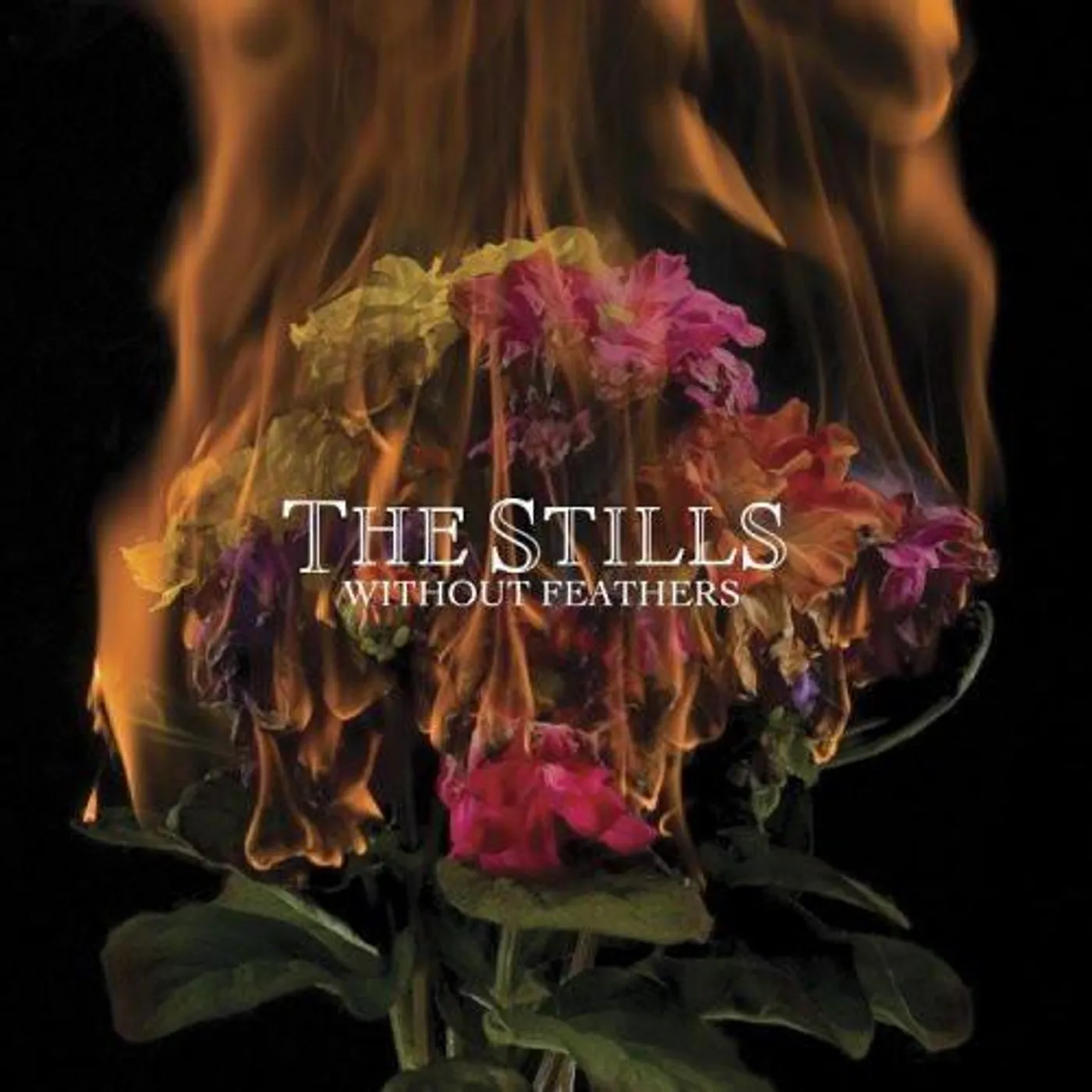 Stills WITHOUT FEATHERS Vinyl Record