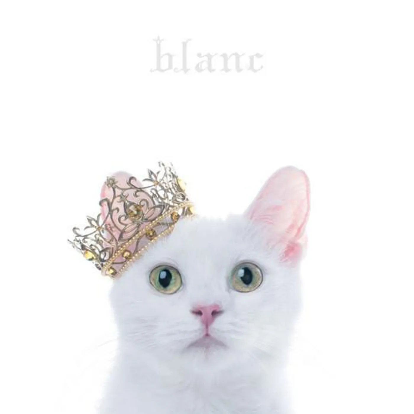 Aimer BEST SELECTION `BLANC` CD