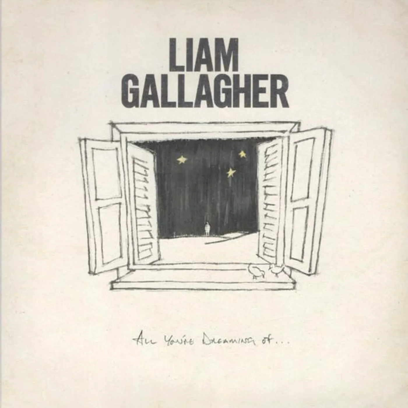 Liam Gallagher All You're Dreaming Of Vinyl Record