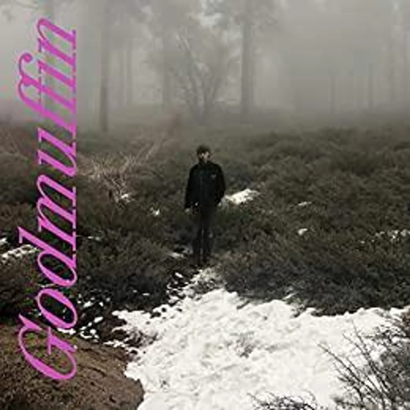 Mike Viola GODMUFFIN Vinyl Record