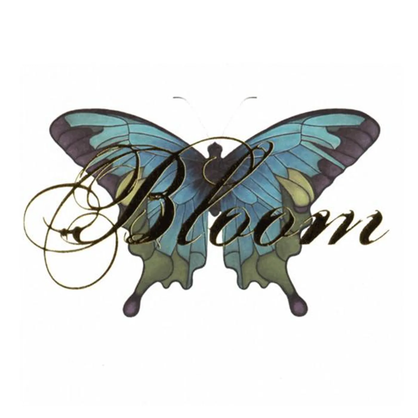Sarah McLachlan BLOOM: REMIXED CD