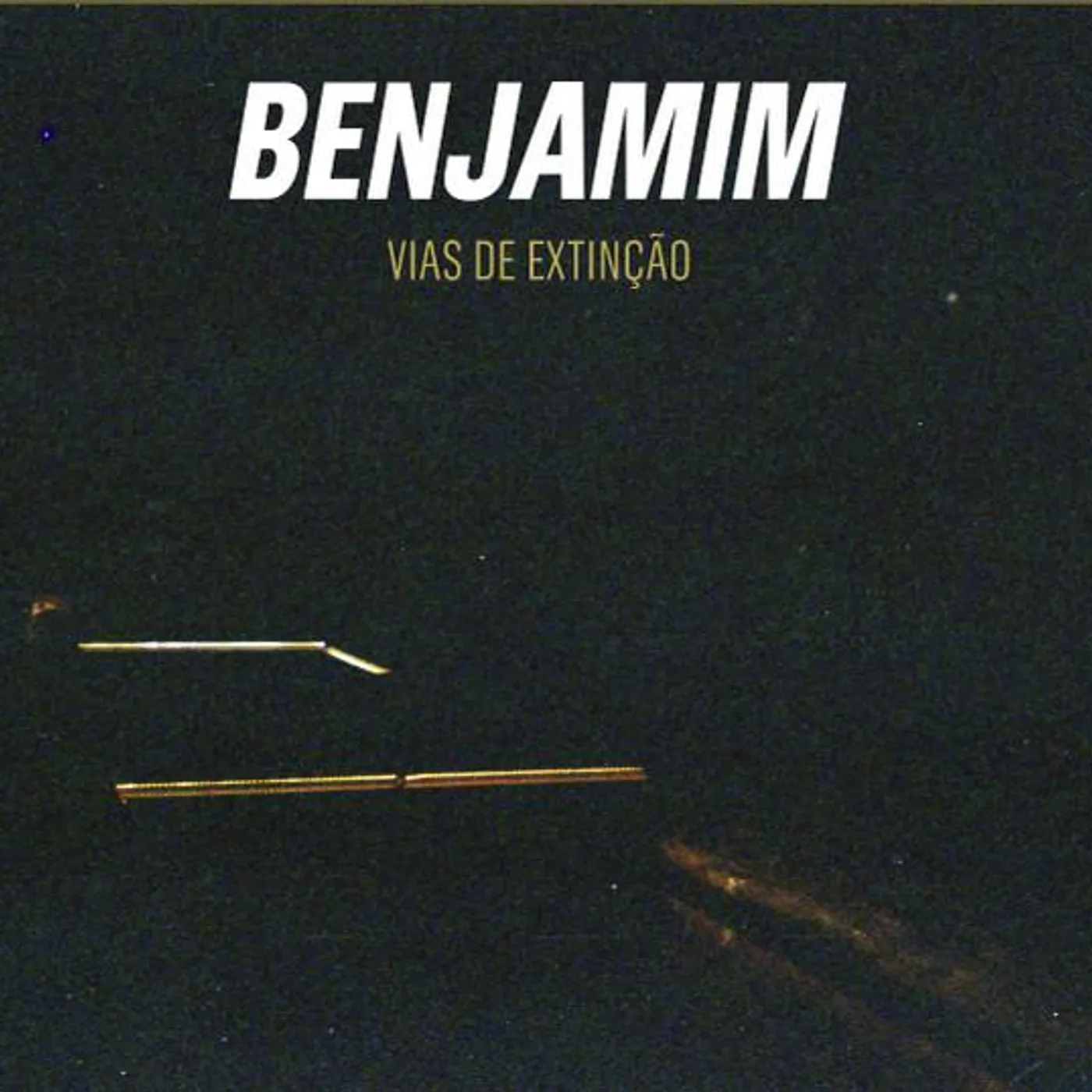 Benjamim VIAS DE EXTINCAO Vinyl Record