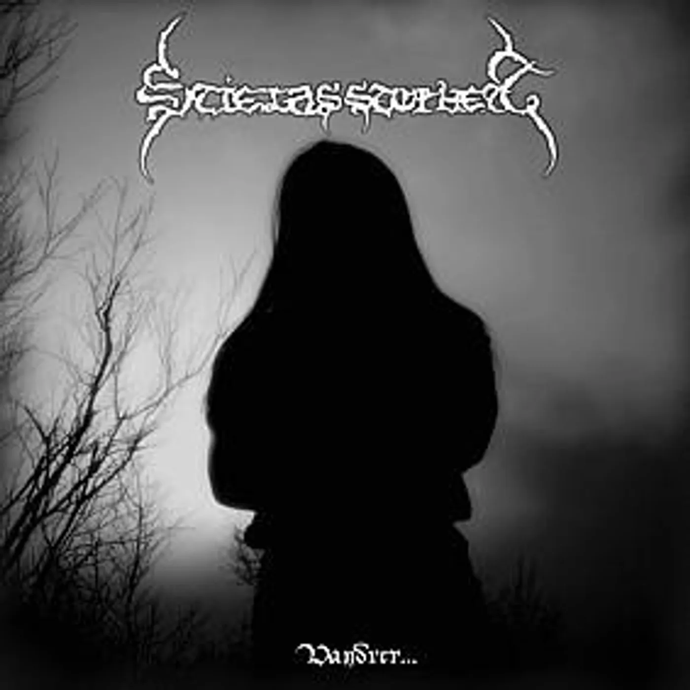 Stielas Storhett VANDRER CD