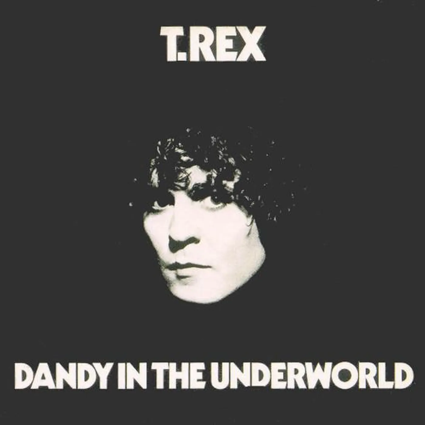 T. Rex DANDY IN THE UNDERWORLD CD