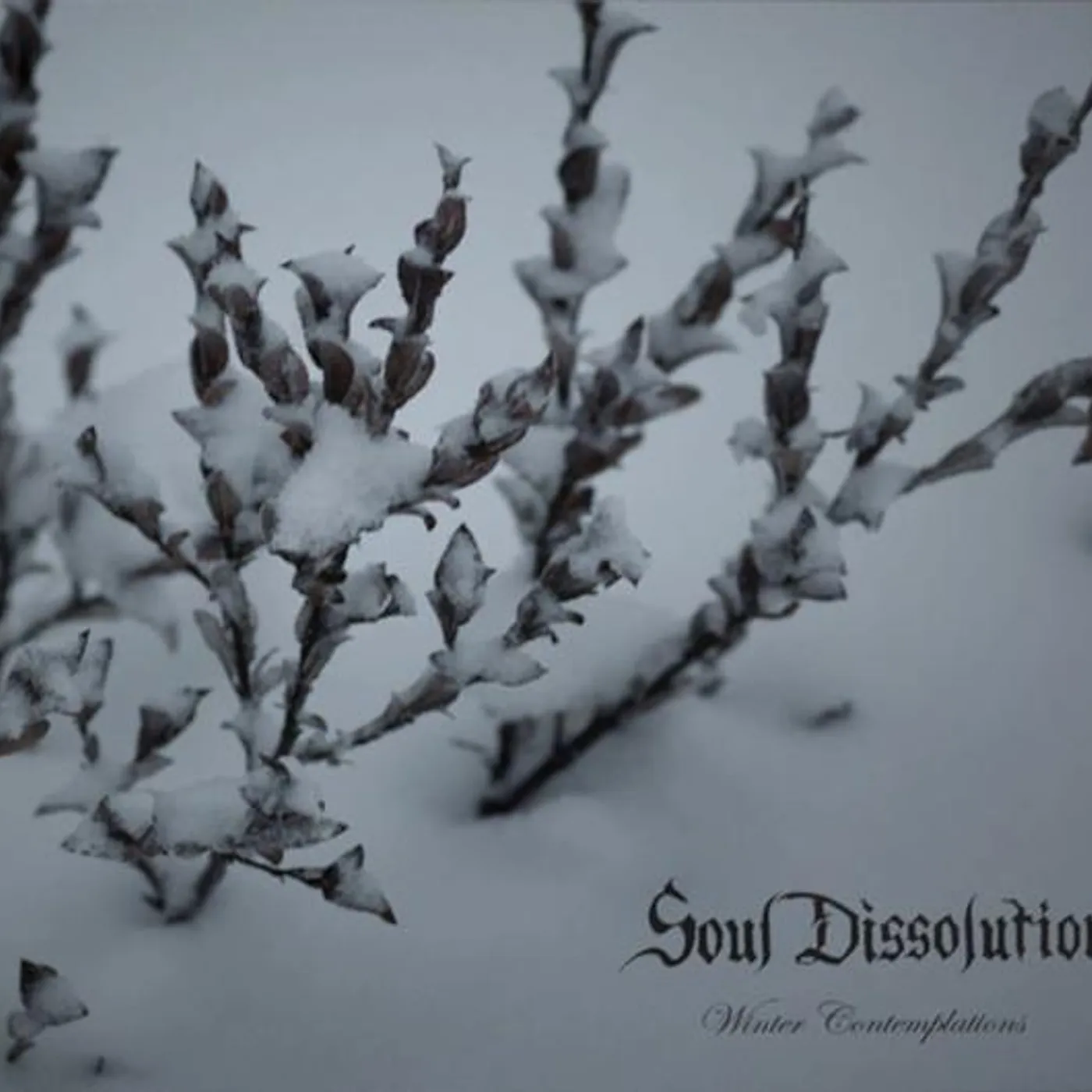 Soul Dissolution WINTER CONTEMPLATIONS CD
