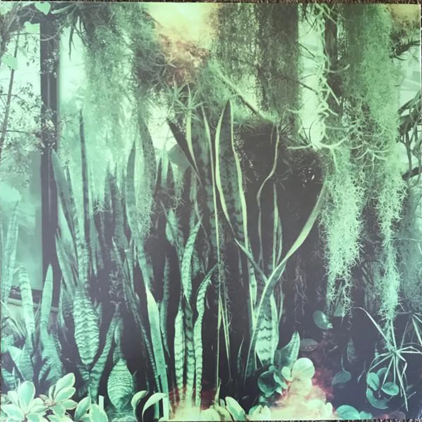 The Promise Ring Wood/Water Vinyl Record