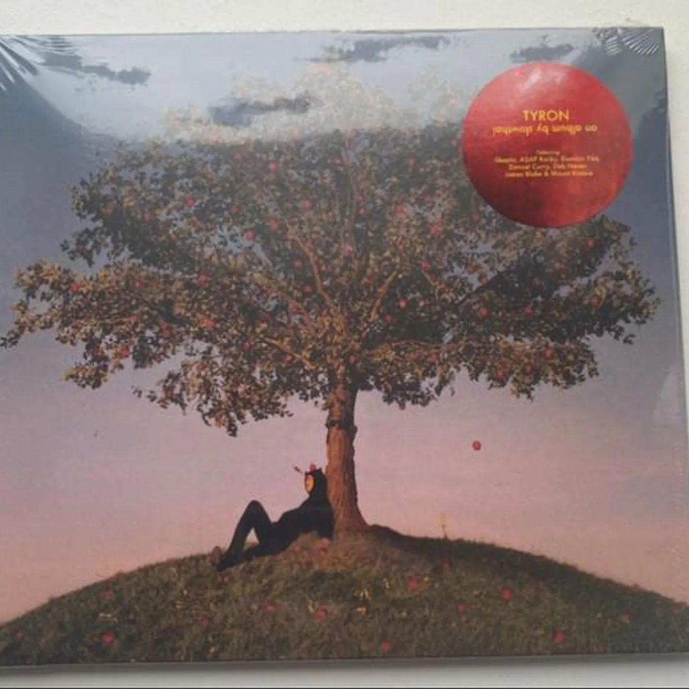 slowthai TYRON CD