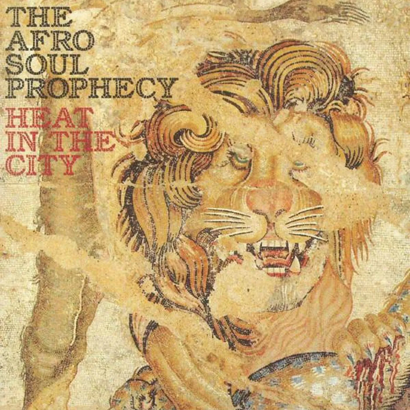 The Afro Soul Prophecy HEAT IN THE CITY CD