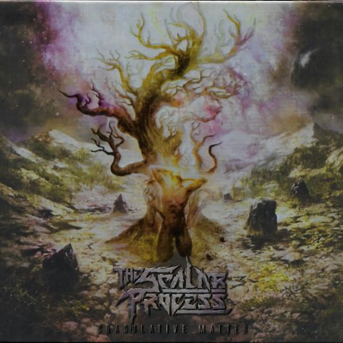 SCALAR PROCESS COAGULATIVE MATTER CD