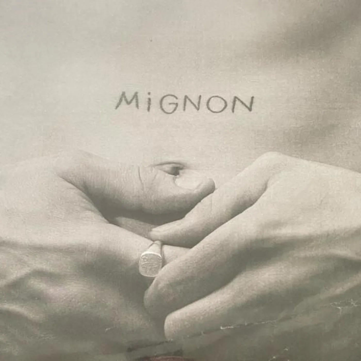 Peet Mignon Vinyl Record