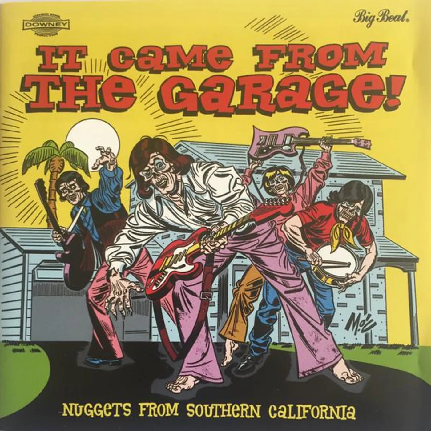 Various Artists  IT CAME FROM THE GARAGE: NUGGETS FROM / VARIOUS CD