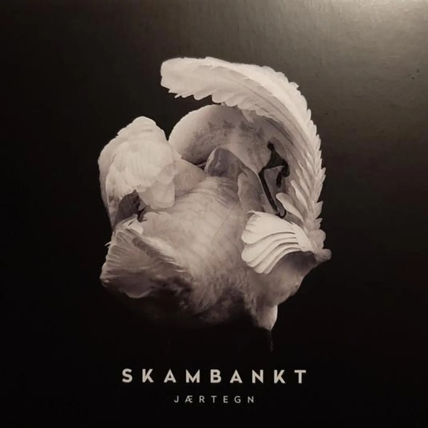 Skambankt JAERTEGN CD