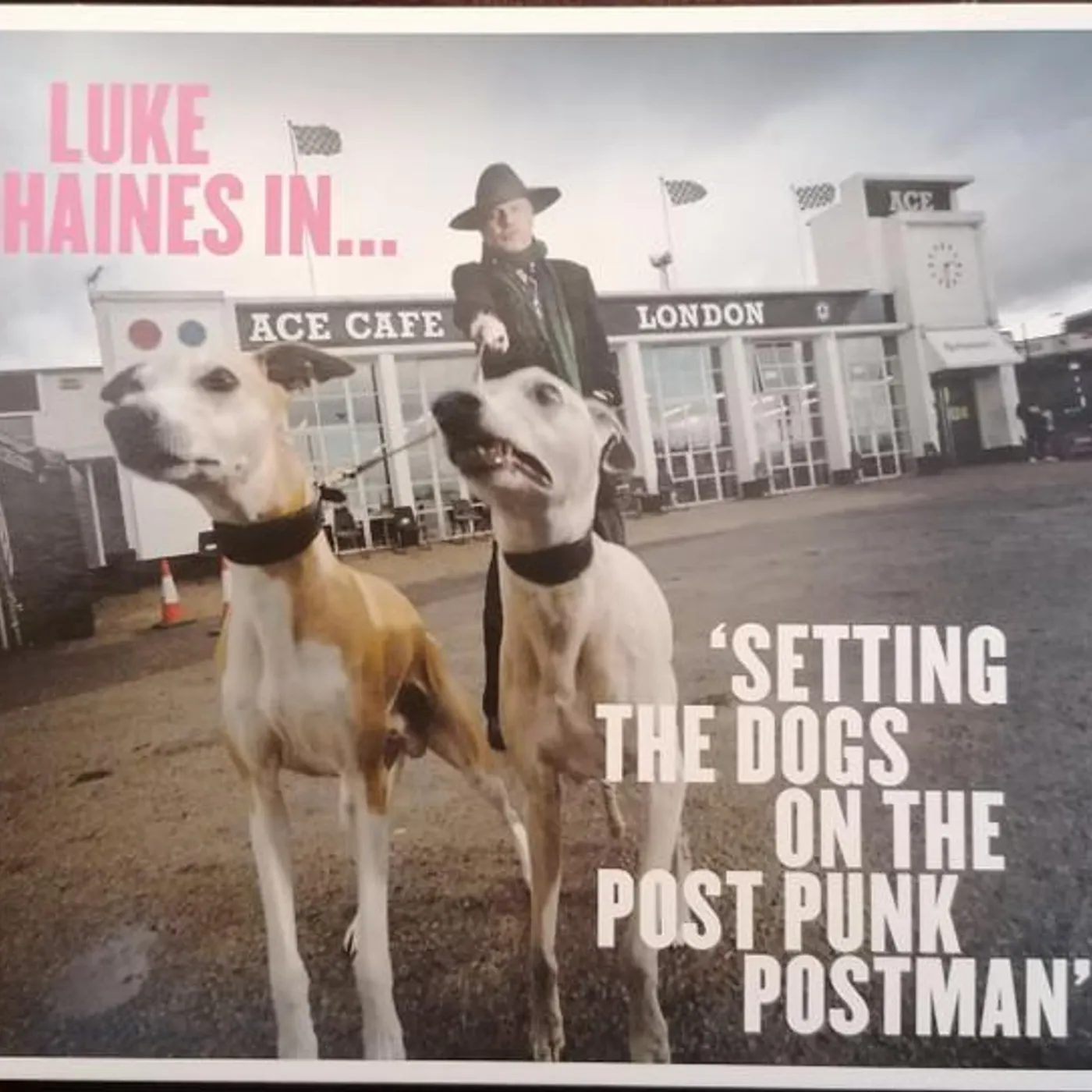 Luke Haines IN...SETTING THE DOGS ON THE POST PUNK POSTMAN CD