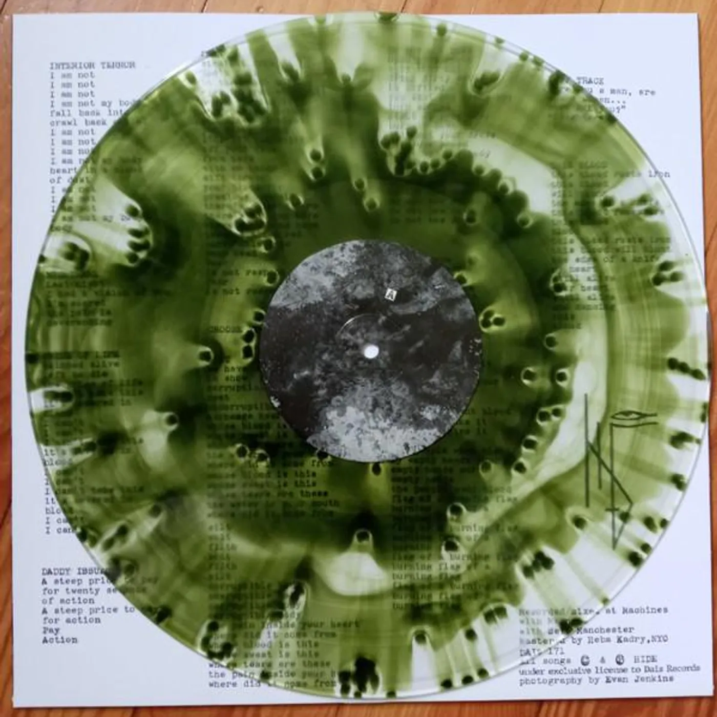 HIDE INTERIOR TERROR (BILE VINYL) Vinyl Record