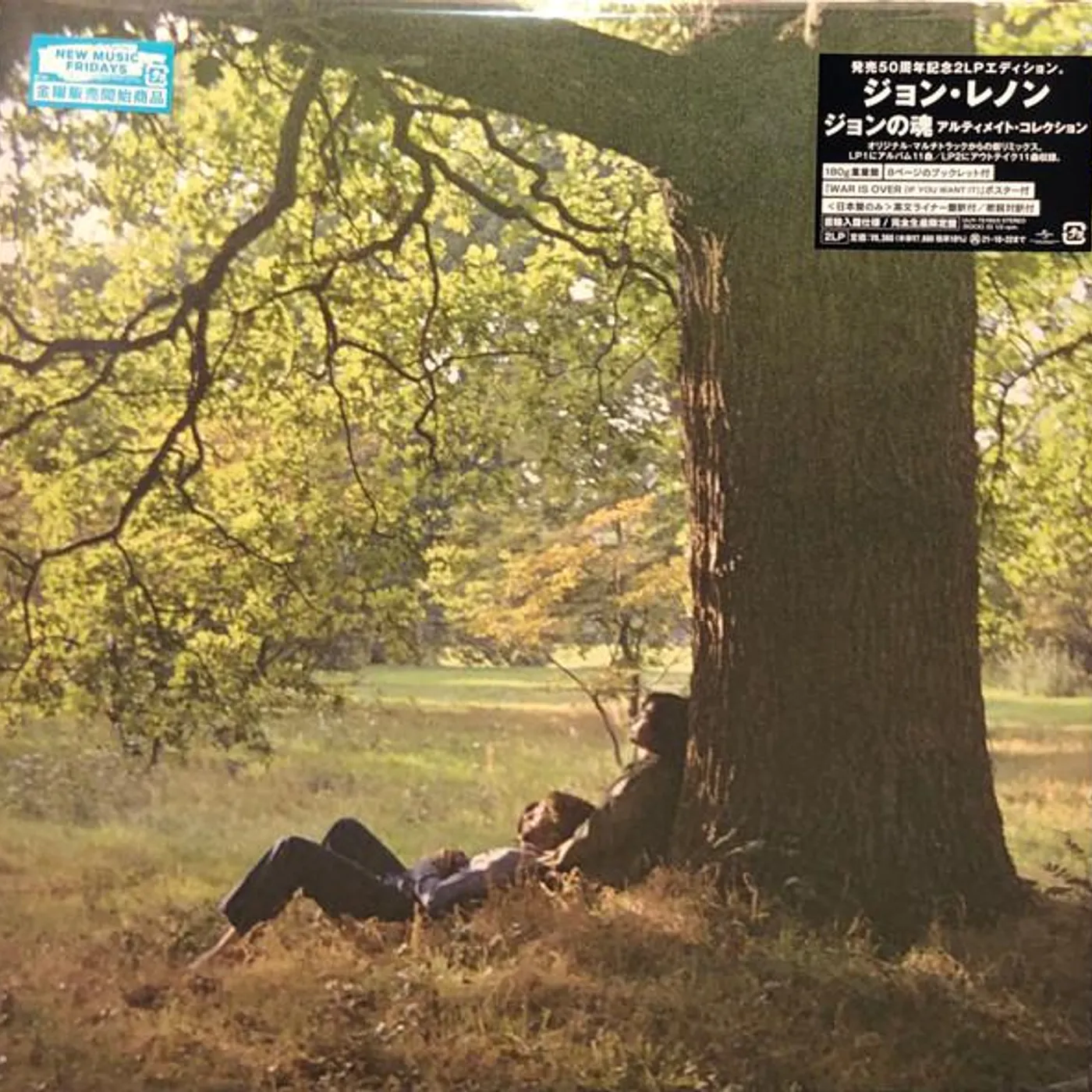 John Lennon PLASTIC ONO BAND (LIMITED/REMASTERING/BOOKLET) Vinyl Record