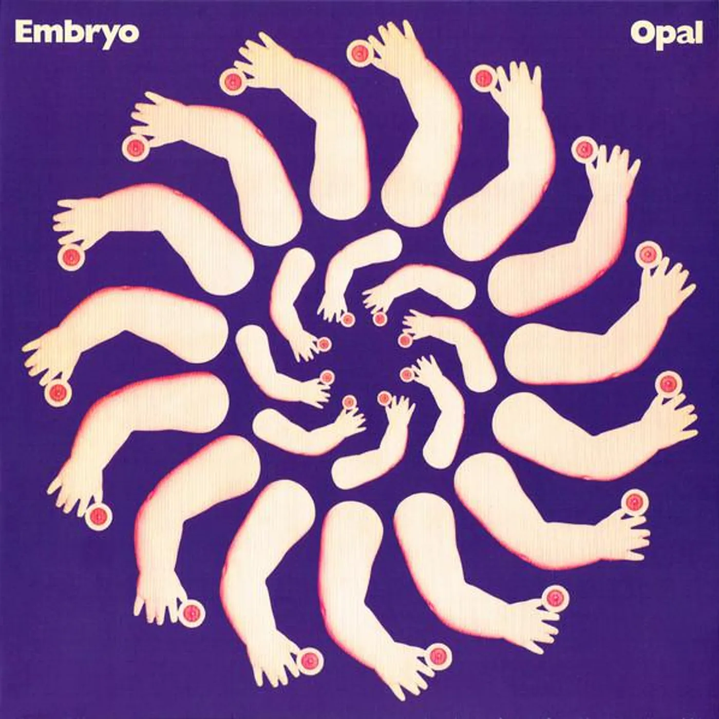 Embryo Opal Vinyl Record