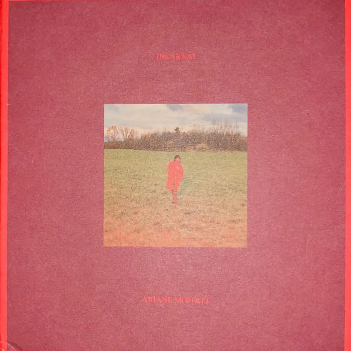 Ariane Moffatt INCARNAT CD