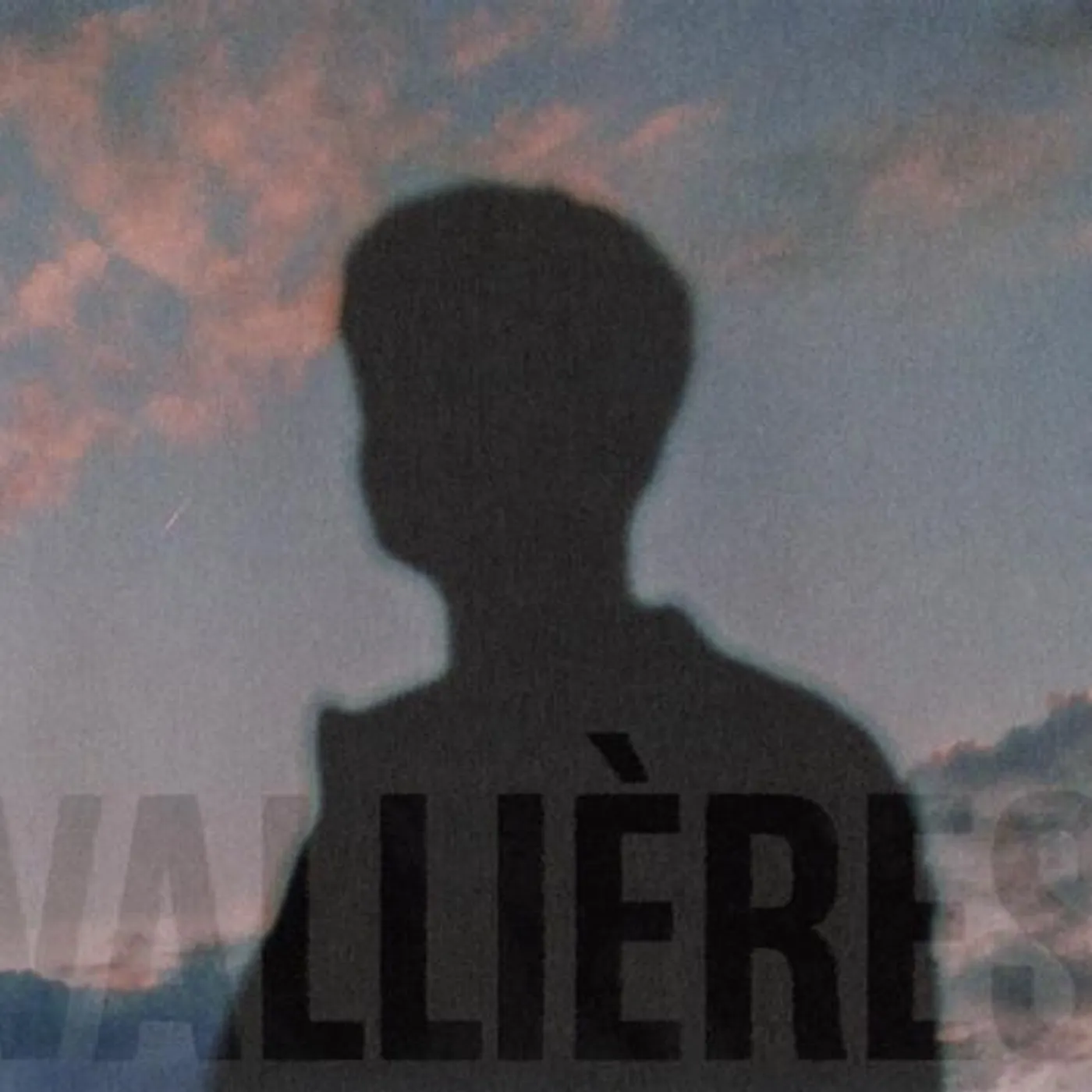 Vincent Vallières TOUTE BEAUTE N'EST PAS PERDUE CD