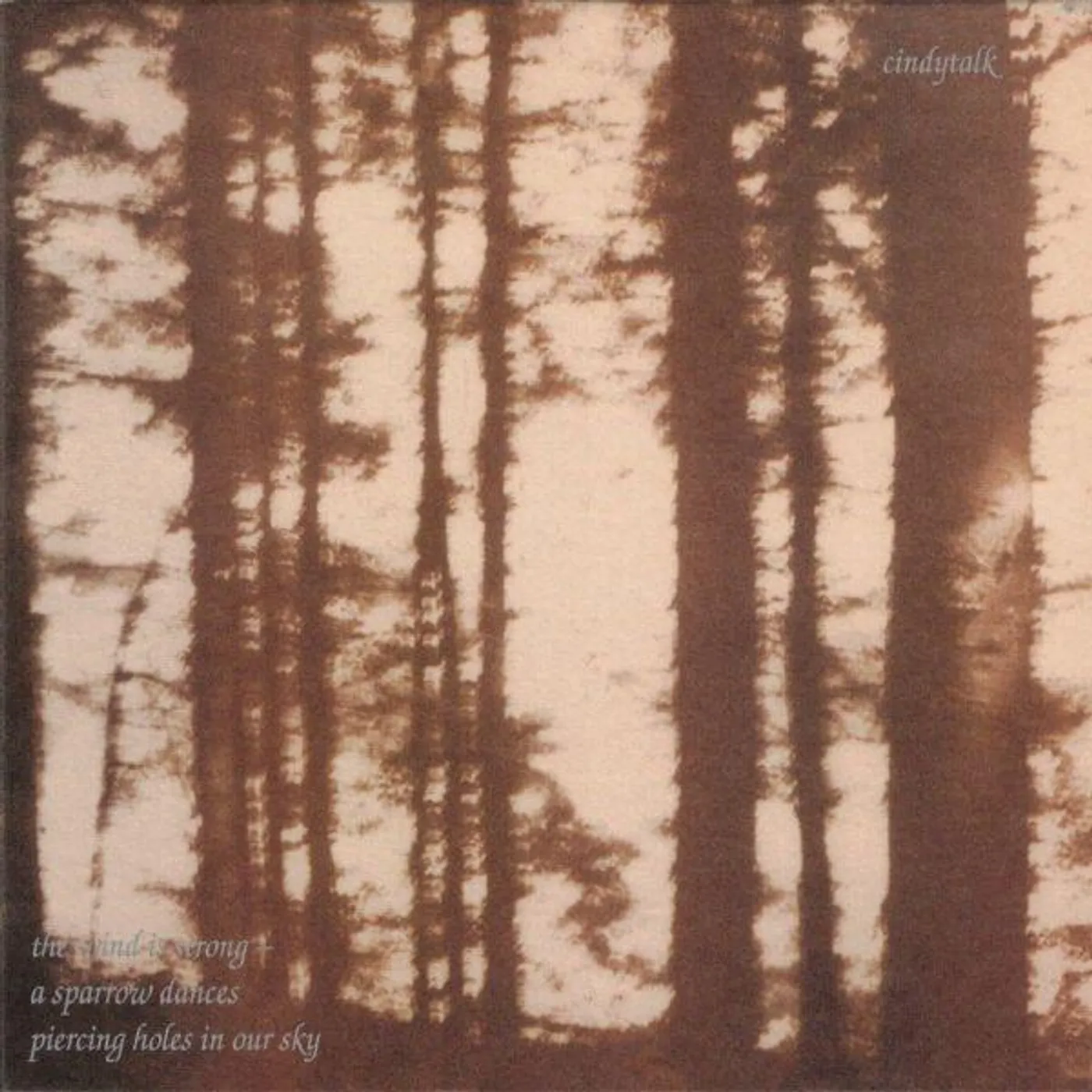 Cindytalk WIND IS STRONG CD