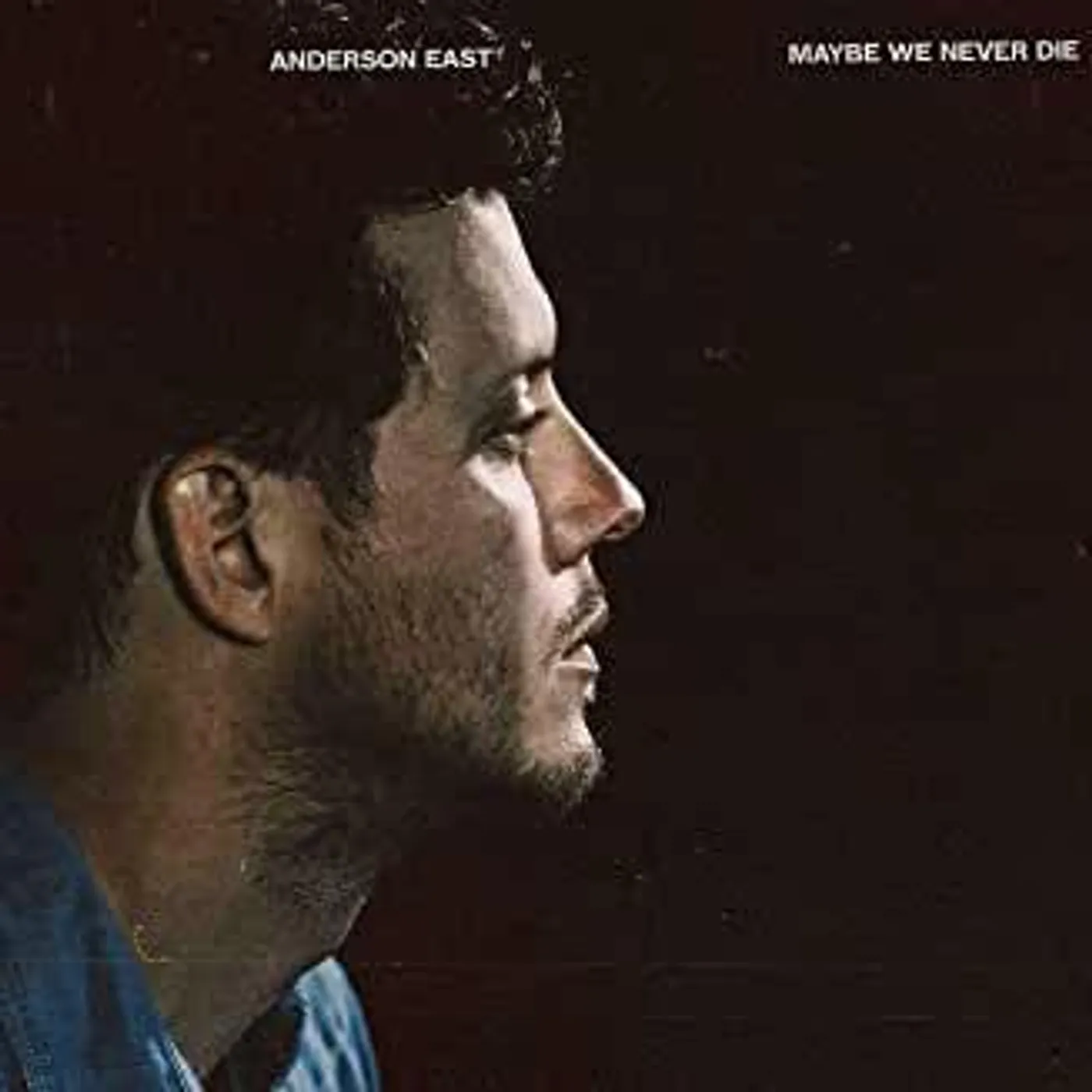 Anderson East Maybe We Never Die Vinyl Record