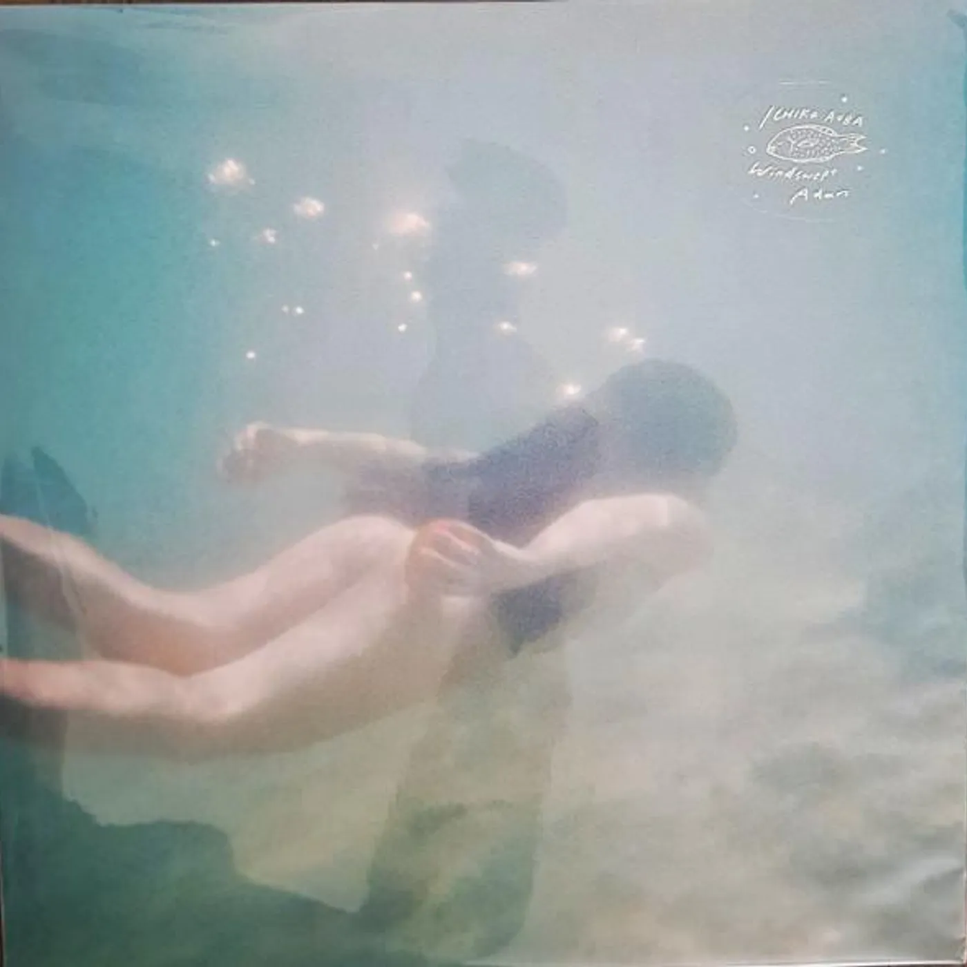 Ichiko Aoba WINDSWEPT ADAN (IMPORT) Vinyl Record