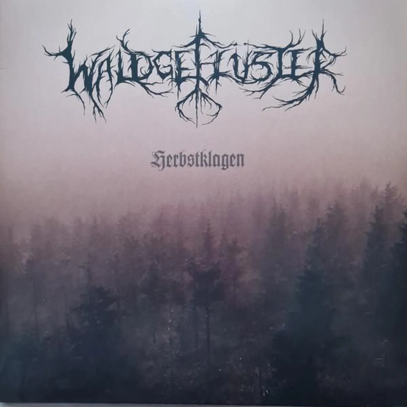 Waldgeflüster HERBSTKLAGEN (2LP) Vinyl Record