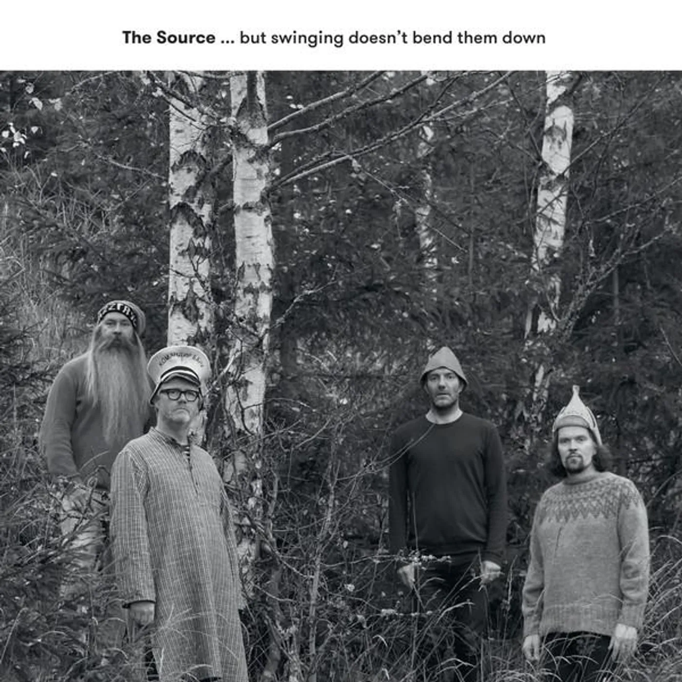 Source BUT SWINGING DOESN'T BEND THEM DOWN CD