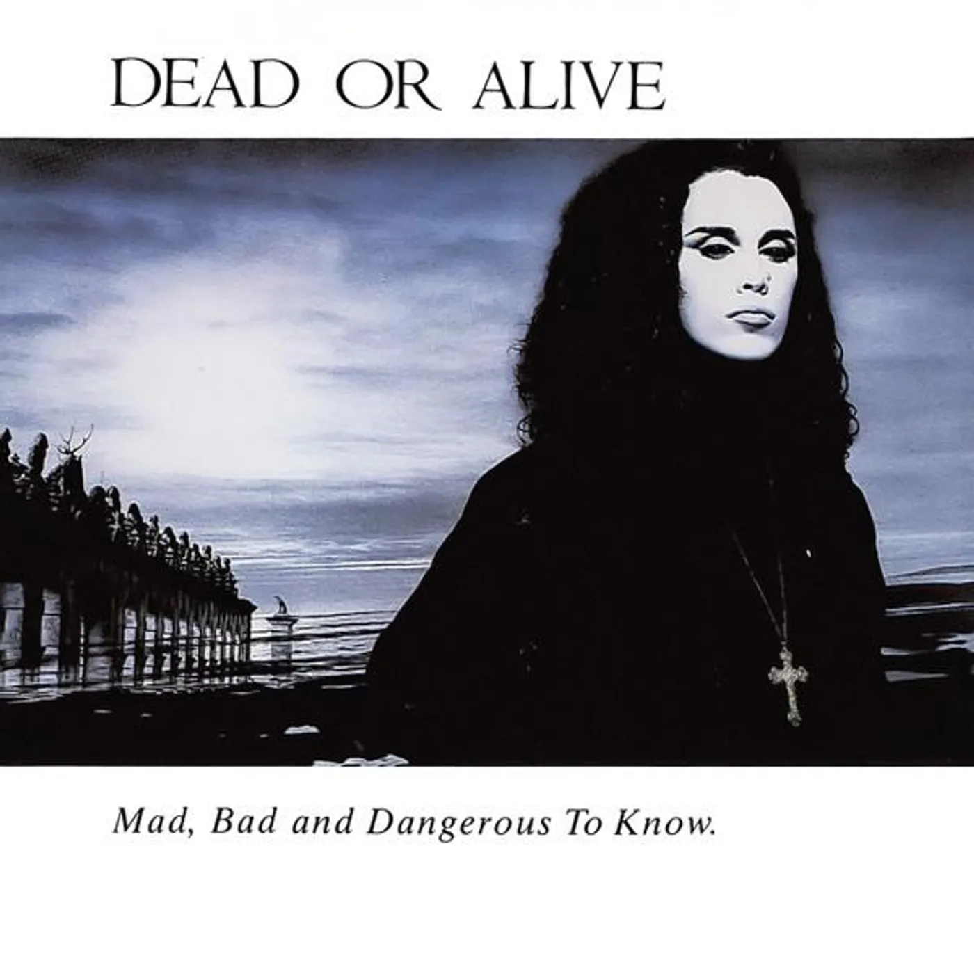 Dead Or Alive MAD, BAD & DANGEROUS TO KNOW (IMPORT) CD