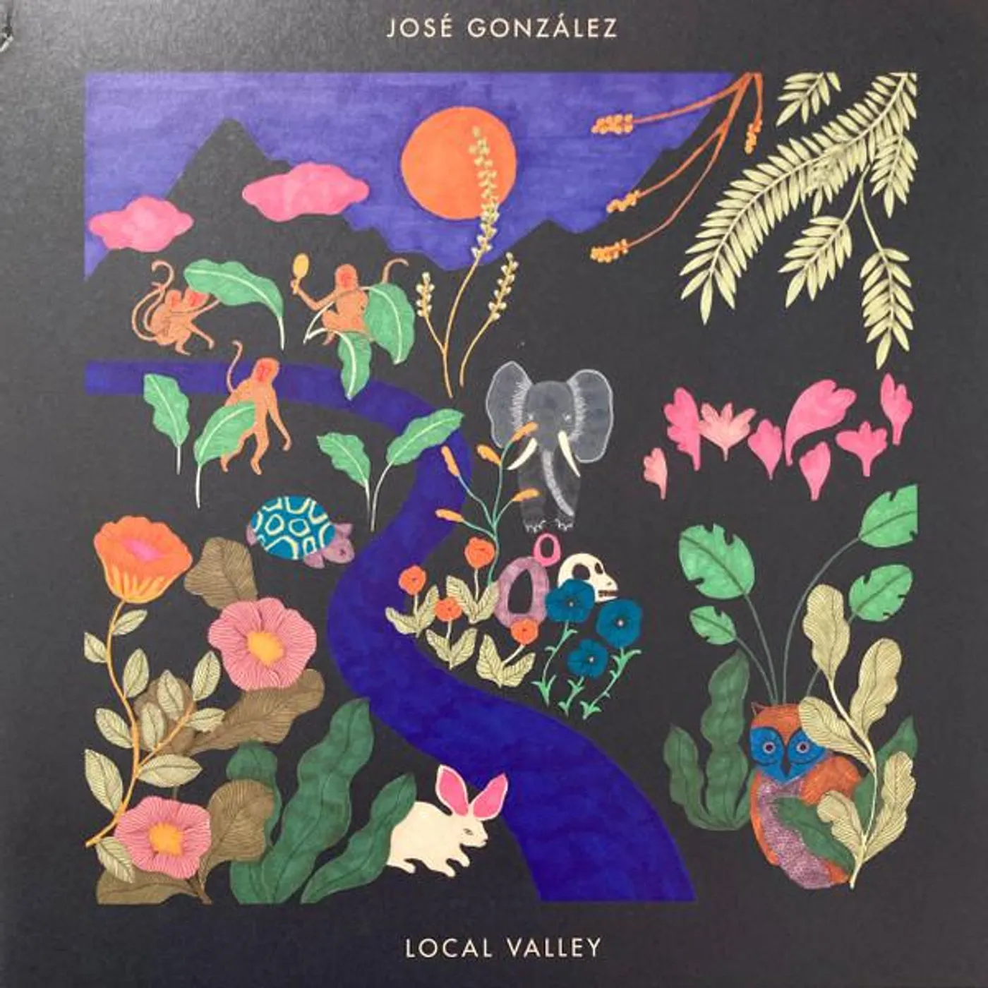 José González LOCAL VALLEY (IMPORT) Vinyl Record