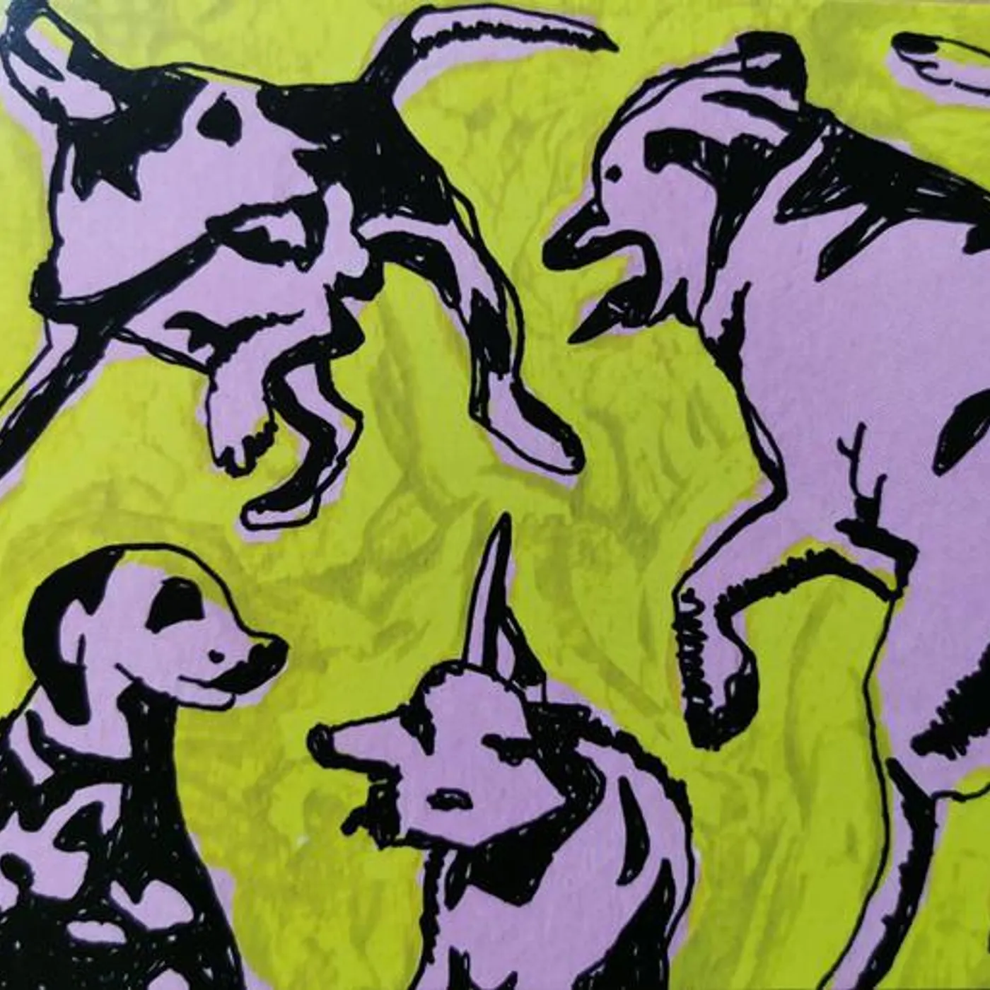 Paul Jacobs PINK DOGS ON THE GREEN GRASS CD