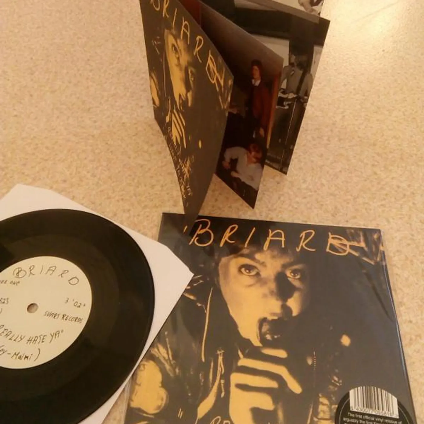 Briard I REALLY HATE YA Vinyl Record