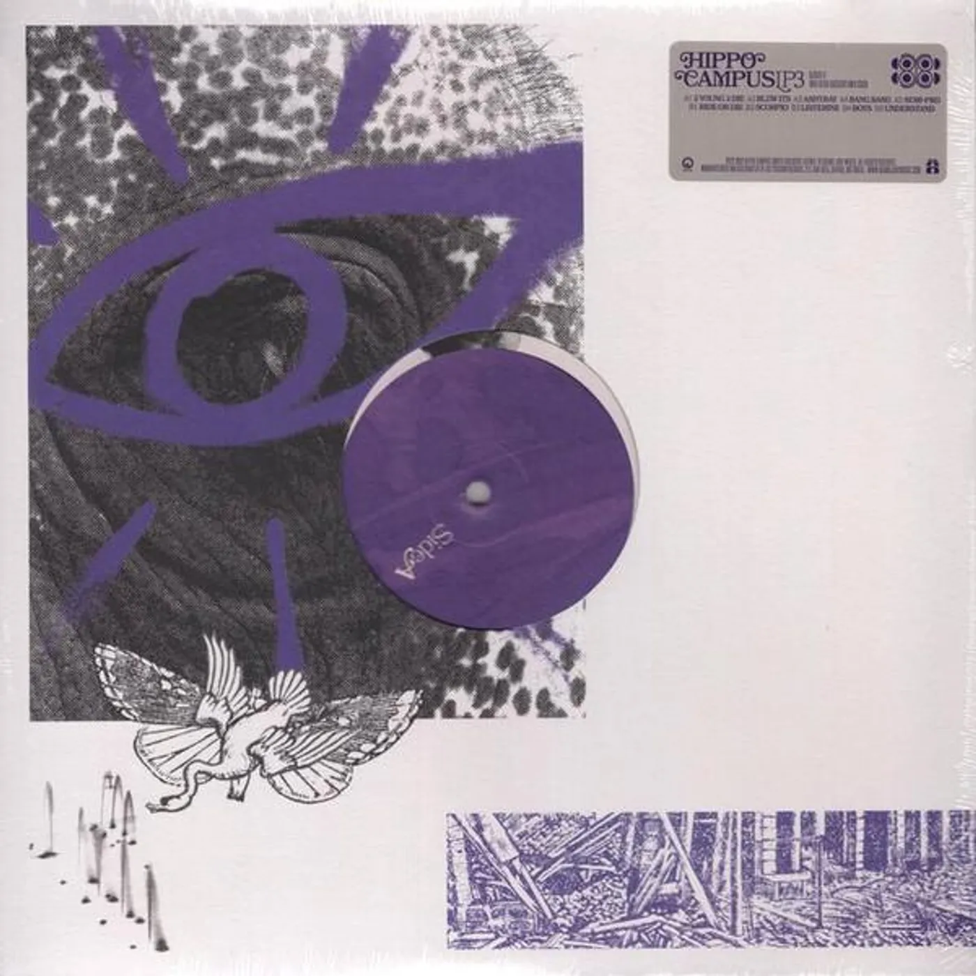 Hippo Campus LP3 (LIMITED/OPAQUE PURPLE SWIRL/140G) (I) Vinyl Record