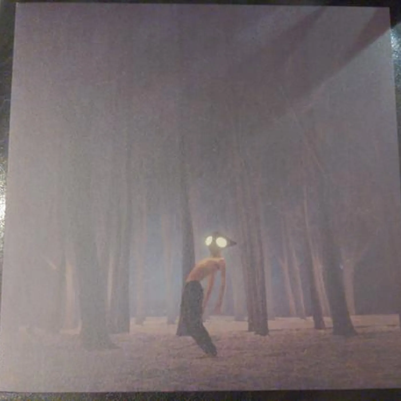 Geese PROJECTOR Vinyl Record