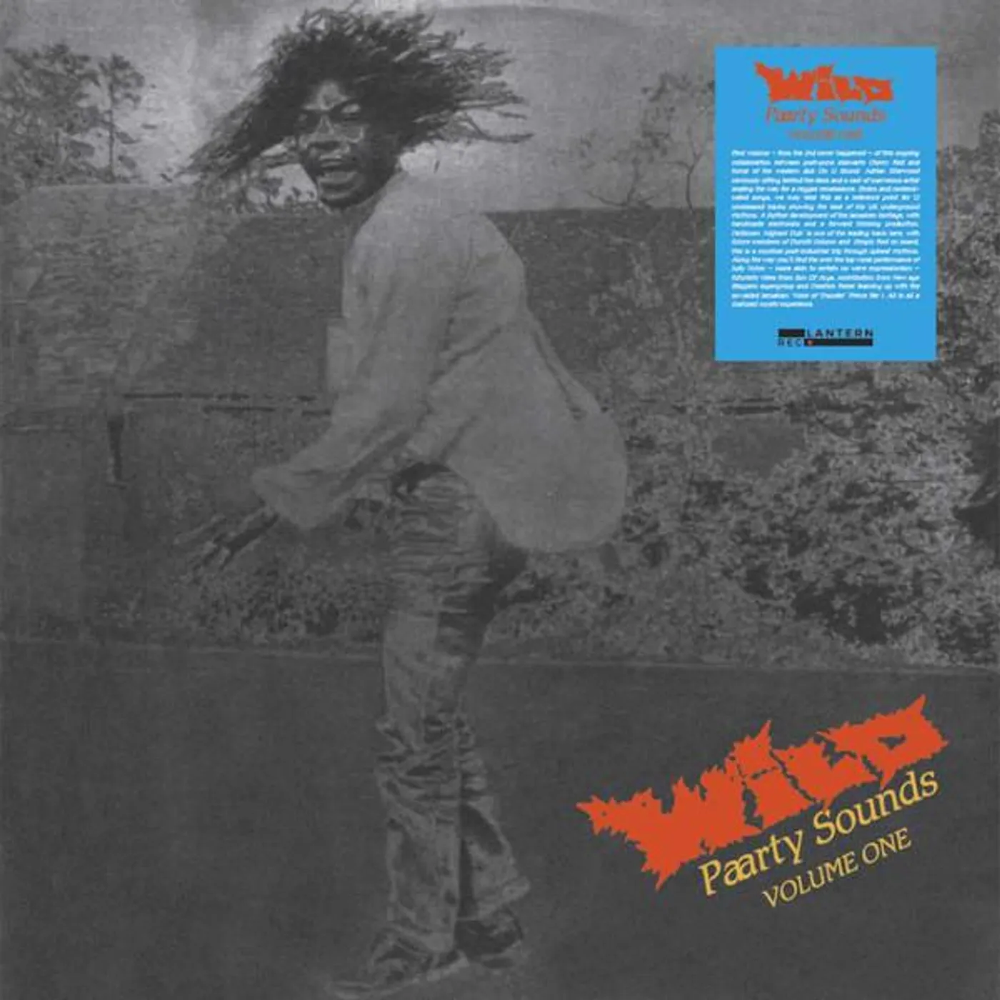 WILD PAARTY SOUNDS VOLUME ONE / VARIOUS Vinyl Record