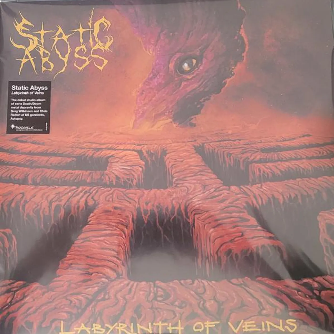 Static Abyss LABYRINTH OF VEINS Vinyl Record
