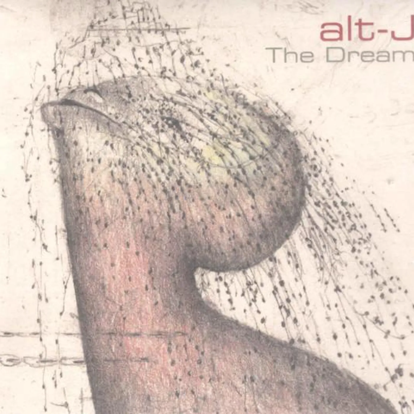 alt-J DREAM CD