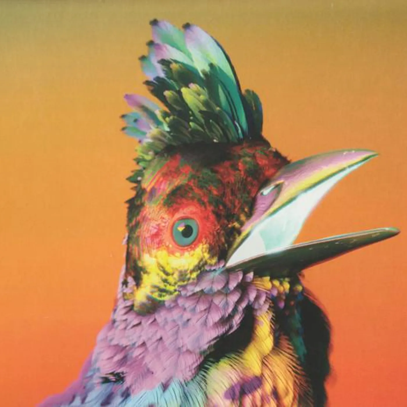 Flume PALACES (LIMITED/DELUXE) CD