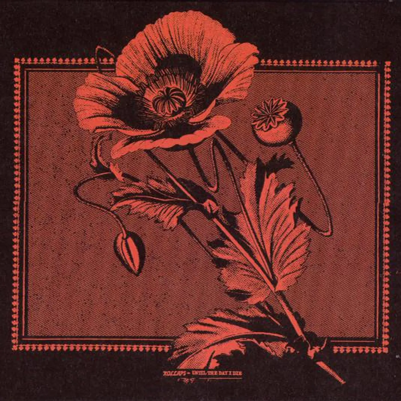 Kollaps UNTIL THE DAY I DIE CD