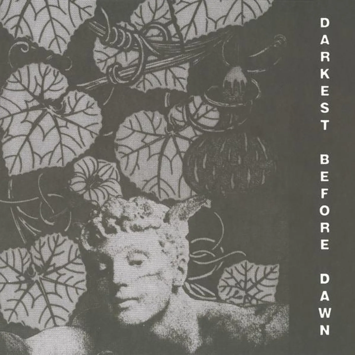 Dark Day DARKEST BEFORE DAWN CD