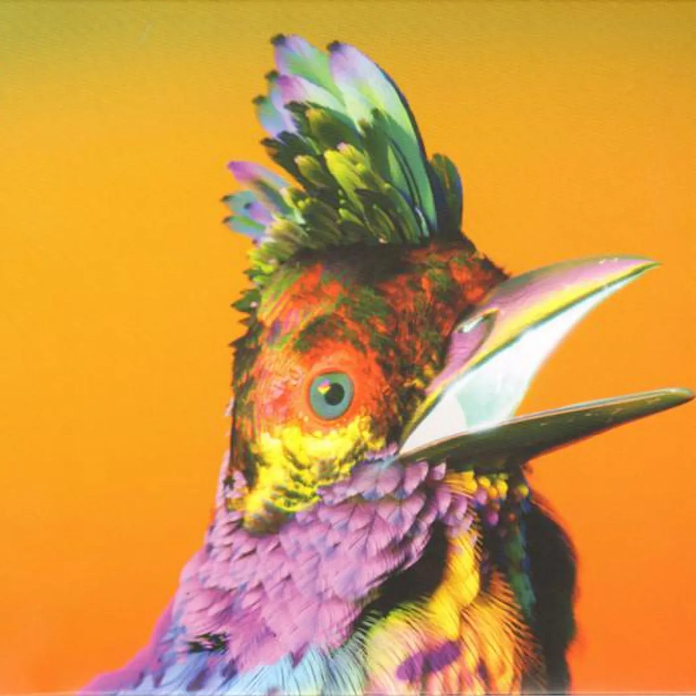 Flume PALACES CD