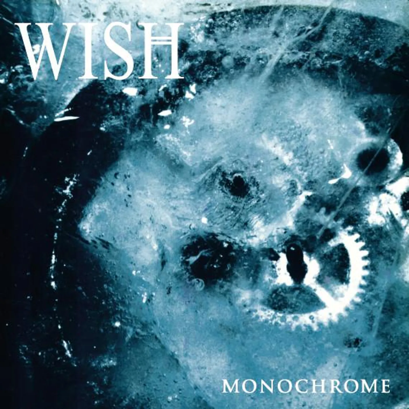 wish MONOCHROME Vinyl Record