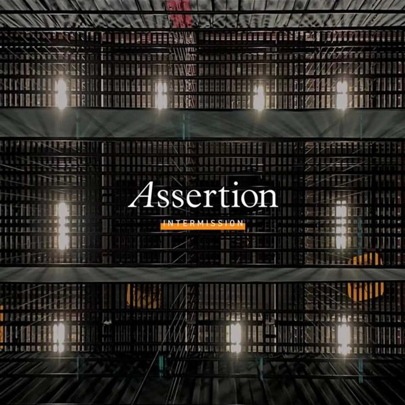 Assertion INTERMISSION Vinyl Record