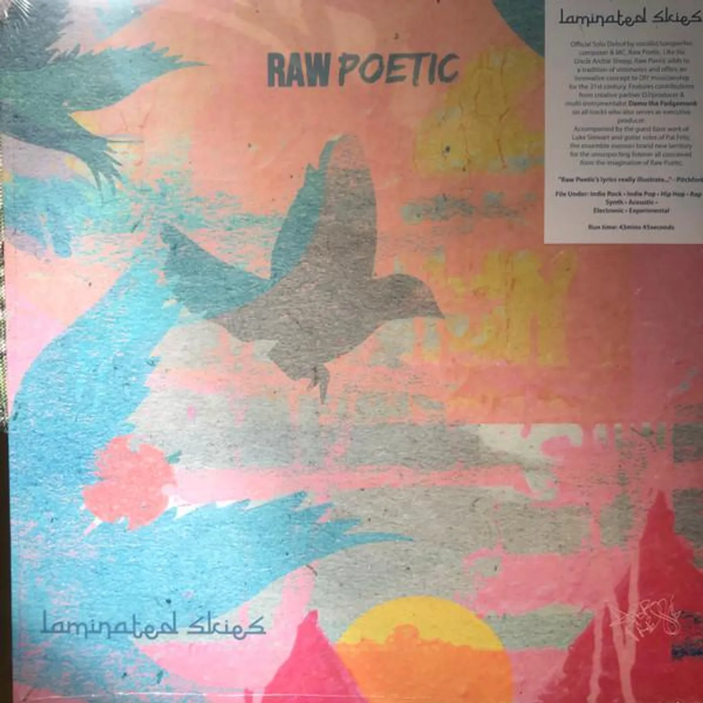 Raw Poetic / Damu The Fudgemunk LAMINATED SKIES Vinyl Record
