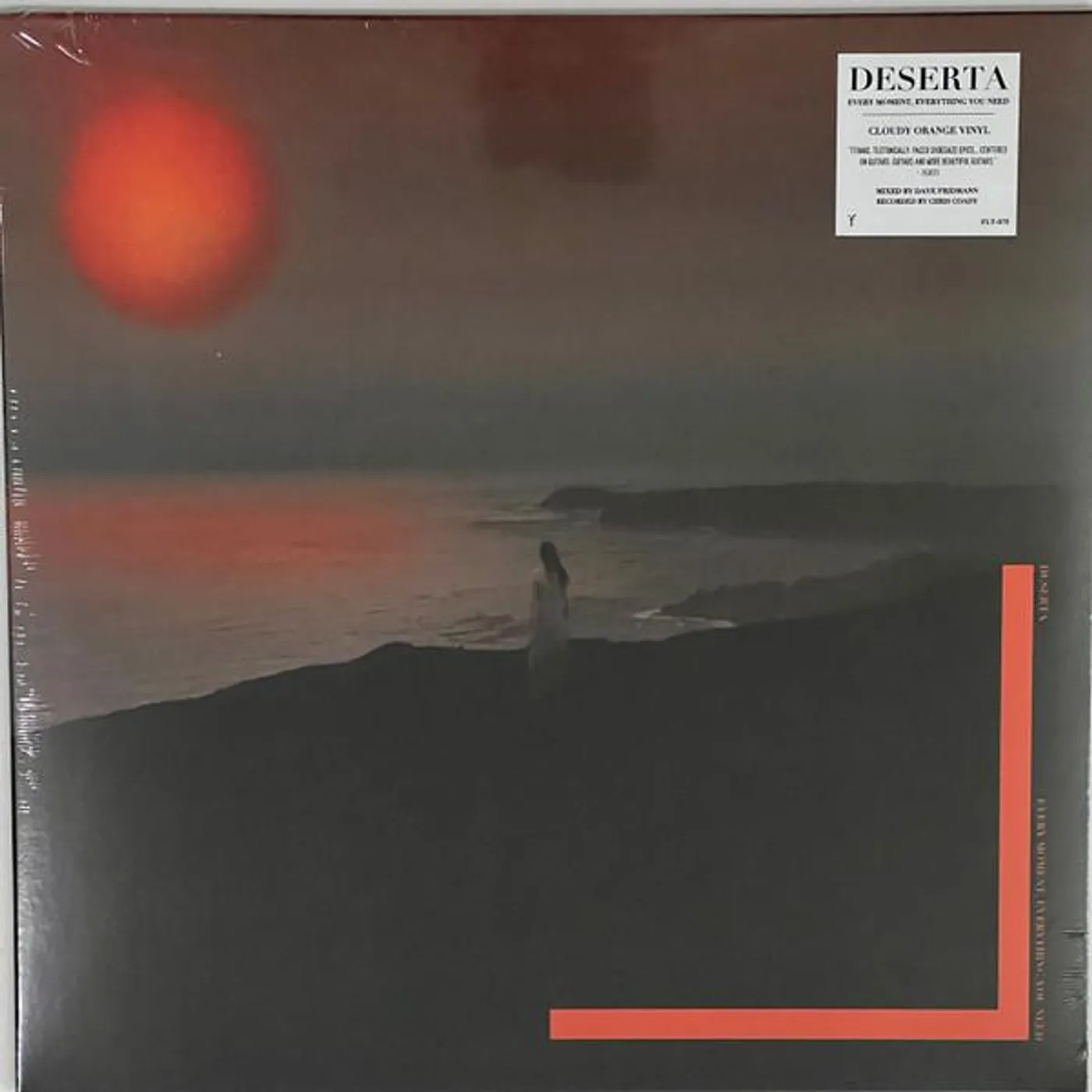 Deserta EVERY MOMENT, EVERYTHING YOU NEED (CLOUDY ORANGE VINYL) Vinyl Record
