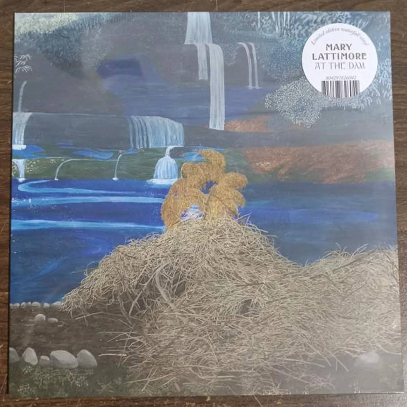 Mary Lattimore At the Dam Vinyl Record