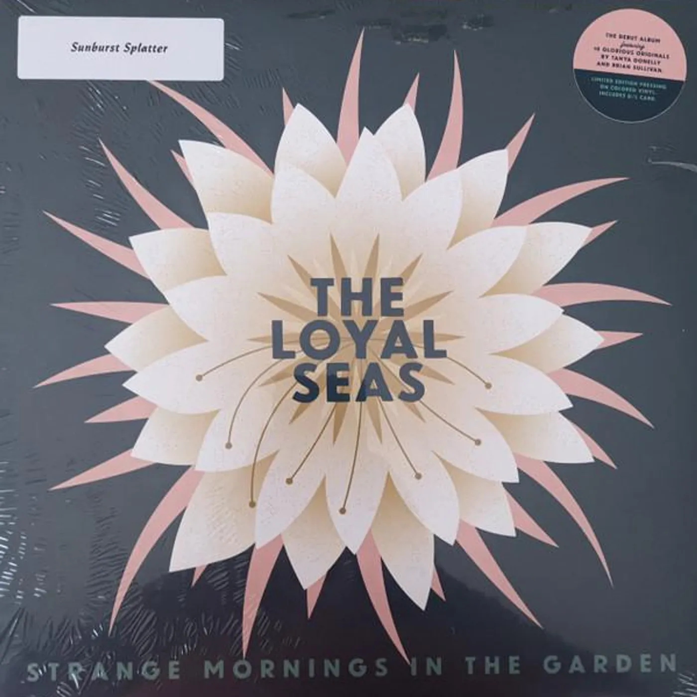 The Loyal Seas STRANGE MORNINGS IN THE GARDEN (PINK ROSE VINYL) Vinyl Record
