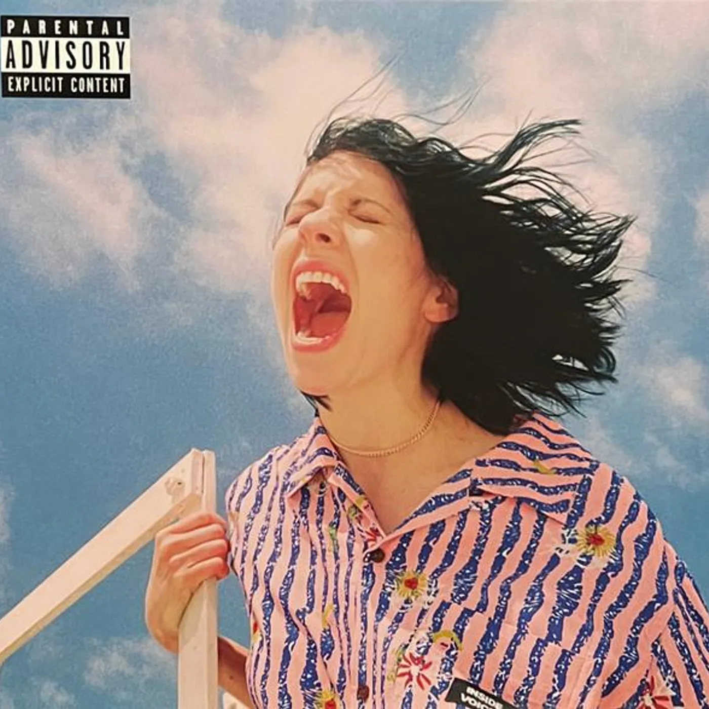 K.Flay Inside Voices / Outside Voices Vinyl Record
